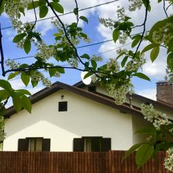 Апартаменты стандарт шале Шаманиха