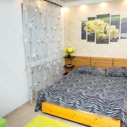 Фото Апартаменты на улице Плехановская