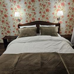 Фото Отель Шишкино-парк аэропорт Домодедово