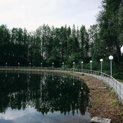 Фото Отель Wolki & Lipki (Волки и Липки)