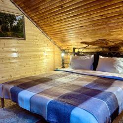 Дом изба с 2 двуспальными кроватями