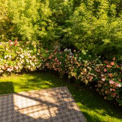 Фото Отель Лель