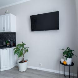 фото 11 Satin Home Apart (Сатин Хоум Апарт) на улице Грибалёвой