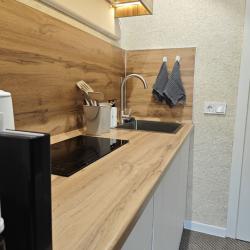 1-комнатные апартаменты студия