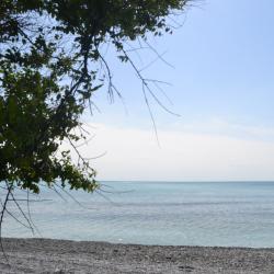 Фото Отель Аммонит