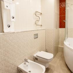 Номер люкс с 1 двуспальной кроватью