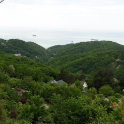 Фото Отель Дома в лесу