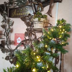 Фото Отель Аквилон