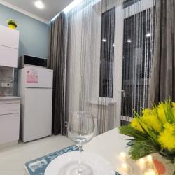 Фото Апартаменты на улице Еляна 66