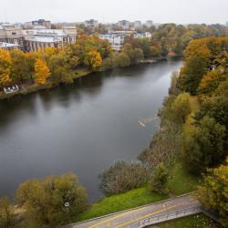 фото 4 Поделам в Калининград на улице Клиническая