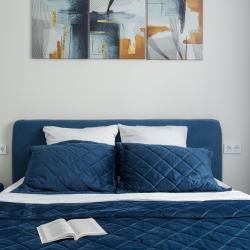 2-комнатные апартаменты улучшенные ул. Воровского, д. 84, корп. 2 blue