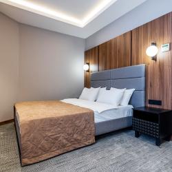 Номер бизнес NEW с 1 двуспальной кроватью