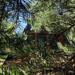 Фото Отель Кусочек рая в соснах