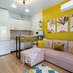 Апартаменты студия с диваном №2