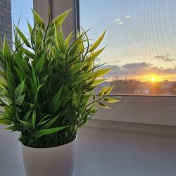 Апартаменты стандарт