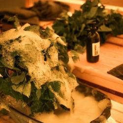 Фото Отель Терраса гриль