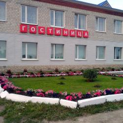 Фото Отель Ковчег