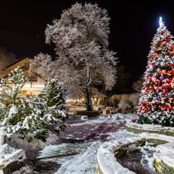 Фото Отель Лель