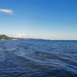 Фото Отель Гостевой дом АмиКо Club