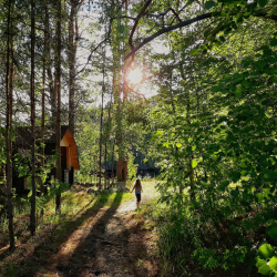 Фото Отель Гостевой комплекс Сосны