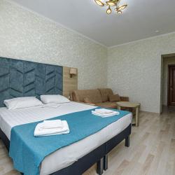 Номер делюкс с 1 двуспальной кроватью (вид на бассейн)