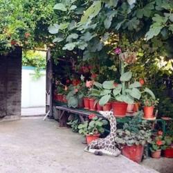 Фото Отель Марина