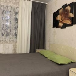 Фото Апартаменты Турист на улице Оплеснина 41/1