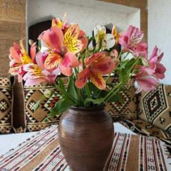 Фото Отель Джеваль