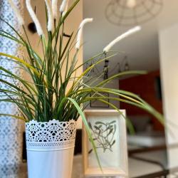 Апартаменты студия