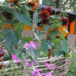 Фото Отель Акватория