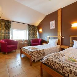 Фото Отель Родина