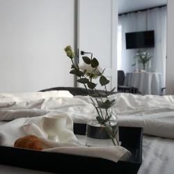 Фото Апартаменты на проспекте Красной Армии 206