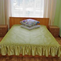Номер стандарт семейный с 1 двуспальной кроватью (с полупансионом)