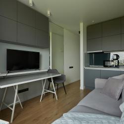 1-комнатные апартаменты студия Loft 517