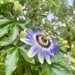 Фото Отель Рита