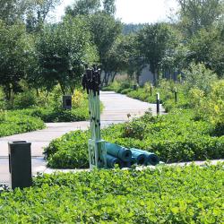 Фото Отель Домвбору.ру