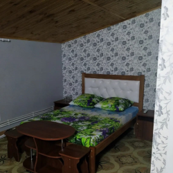 Фото Отель Эмиль