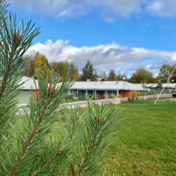 Фото Отель Дачники