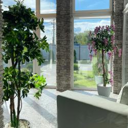 Фото Отель Leto (Лето)