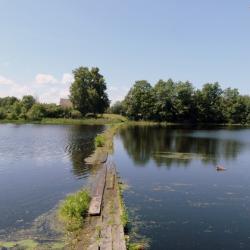 Фото Отель Русская Дача