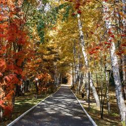 фото 89 Борвиха