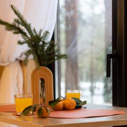 Фото Отель Eliza Home Гостевой дом в СОСН Раздолье