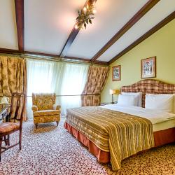 Номер делюкс с 1 двуспальной кроватью (мансарда)