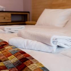 Фото Бутик-отель Клёны