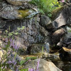 Фото Отель Дом на Автомобилистов