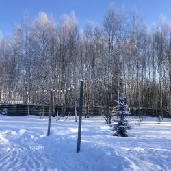 Фото Отель Рузские