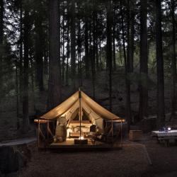 Фото Отель Заповедник