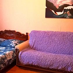 Фото Апартаменты на улице Курыжова 19