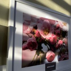 Фото Отель NewStory (НьюСтори) на улице Коммунаров