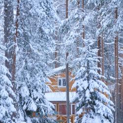 Фото Отель Шишки